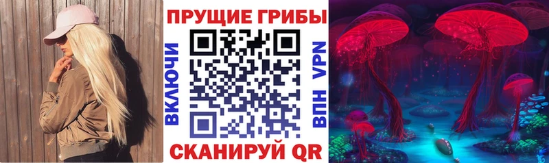 Галлюциногенные грибы Psilocybine cubensis  Краснознаменск 